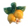 Calamita piccola in ceramica modello limoncini