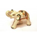Elefante mignon