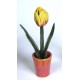Vaso con Tulipano Giallo